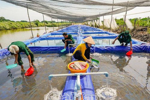 Xã Phan Ngọc Hiển - Khơi dậy tiềm năng, dựng xây giai đoạn mới