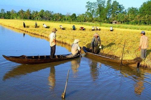 Dự án thích ứng biến đổi khí hậu: Tiêu chí nào để được hỗ trợ?