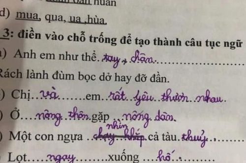 Bài tập tiếng Việt về loạt thành ngữ, tục ngữ của học sinh tiểu học gây bão, đáp án sai nhưng lại rất thuyết phục
