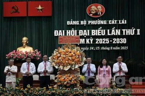 Xây dựng phường Cát Lái thành trung tâm hậu cần Logistics, kết nối cảng