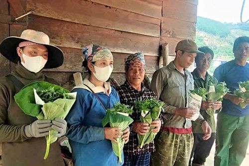 Quảng Ngãi: Đề nghị khoanh nợ cho các hộ bị thiệt hại sâm do bão số 3