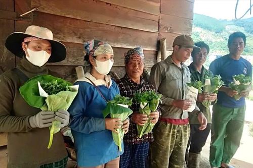Đề nghị khoanh nợ, gia hạn nợ cho hộ nghèo có vườn sâm bị bão tàn phá