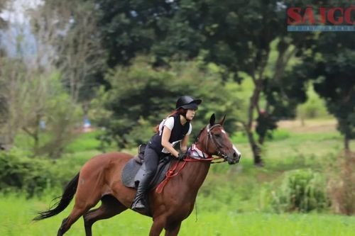 Hấp dẫn giải cưỡi ngựa vượt địa hình ở Lâm Đồng