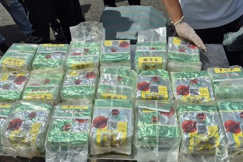 Triệt phá đường dây ma túy hơn 295kg từ Lào về Việt Nam
