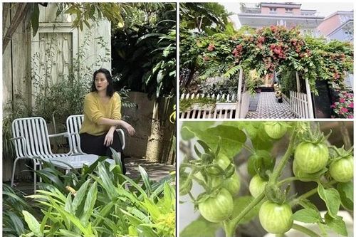 Biệt thự 4 tầng đẹp thơ mộng của nữ nghệ sĩ U50 làm mẹ đơn thân