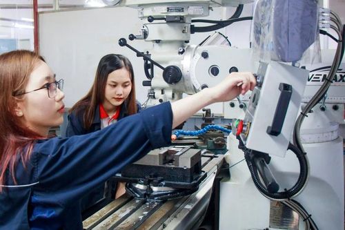 Giáo dục đại học sau sáp nhập: Hình thành 'siêu đô thị' không chỉ xu thế mà là chiến lược