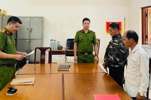 Khởi tố 2 người khai thác gỗ trái phép ở rừng phòng hộ tại Tuyên Quang