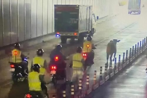 Người đàn ông bị xử phạt vì để bò chạy vào đường hầm sông Sài Gòn