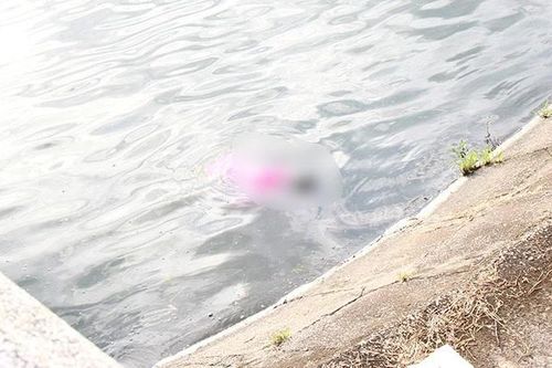 Công an điều tra thi thể bé gái nổi trên mặt hồ ở Bắc Ninh