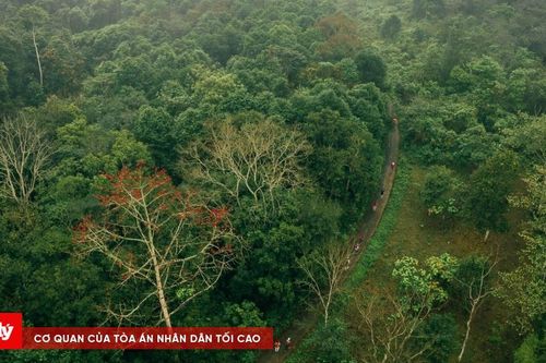 Nỗ lực tìm kiếm du khách mất tích trong rừng Cúc Phương