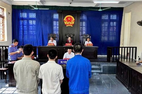 Nâng cao chất lượng tranh tụng qua phiên tòa xét xử vụ án 'Tổ chức sử dụng trái phép chất ma túy'