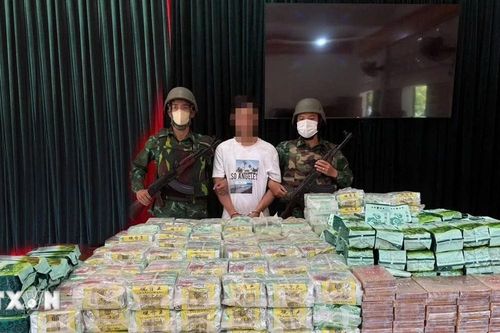 Quảng Trị: Triệt phá đường dây vận chuyển hơn 295kg ma túy từ Lào về Việt Nam