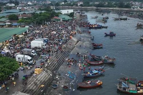 Nhộn nhịp bến cá nổi tiếng nhất ở Nghệ An lúc bình minh