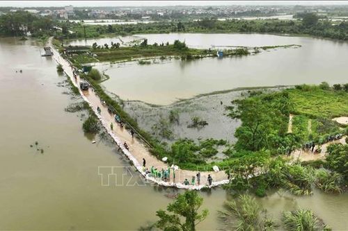 Hà Nội mưa to làm mực nước sông Tích lên cao nguy cơ gây sạt lở, ngập úng