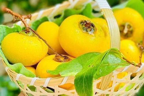 Hương thị chín sau nhà