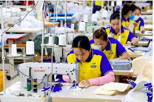 Hơn 2 tuần Bộ Công Thương 'vào cuộc' cùng địa phương: Loạt khó khăn về xuất nhập khẩu được tháo gỡ