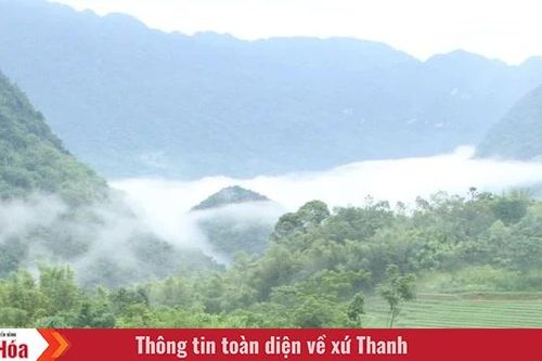 Xanh mướt lúa nương, bồng bềnh mây trắng