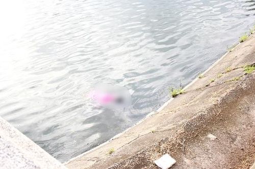 Bắc Giang: Phát hiện một thi thể tại hồ Thùng Đấu