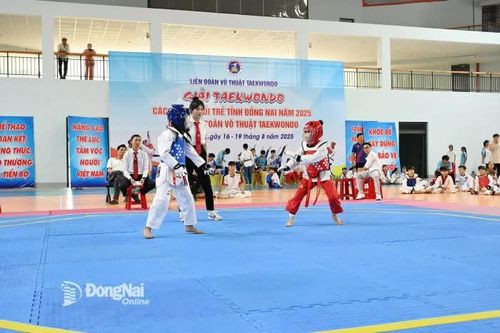 Khai mạc giải Taekwondo các nhóm tuổi trẻ tỉnh Đồng Nai năm 2025