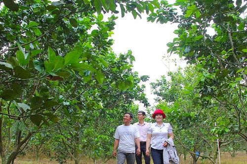 Khát vọng nông thôn mới nâng cao, phát triển bền vững