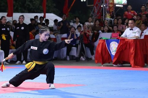Giải vô địch võ cổ truyền quốc gia lần thứ 34: Đoàn Gia Lai khẳng định sức mạnh!