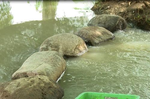 Kiểm tra, xác minh tình trạng lấn chiếm kênh thoát lũ vùng hạ lưu tỉnh Lâm Đồng