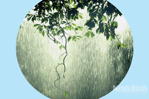 Mưa giải nồng
