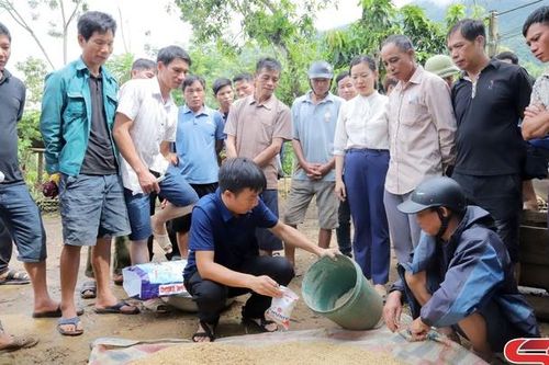Hỗ trợ nhân dân vùng lũ khôi phục sản xuất