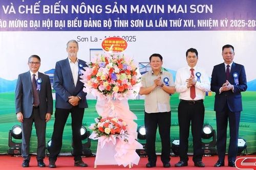 Lễ khởi công tổ hợp nhà máy sản xuất thức ăn chăn nuôi và chế biến nông sản Mavin Mai Sơn