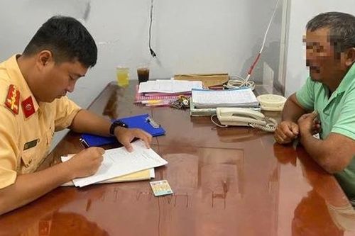TP.HCM: Chủ con bò đi lạc vào hầm Thủ Thiêm bị xử phạt thế nào?