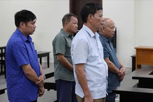 Tuyên án 4 bị cáo ký chuyển nhượng đất rừng trái phép