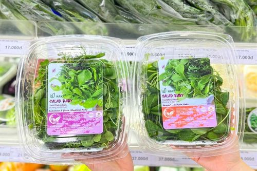 Giải pháp thực phẩm sạch từ mô hình nông nghiệp thẳng đứng của Havy Indoor Farm