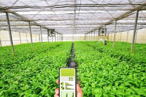Khi hợp tác xã chuyển đổi số