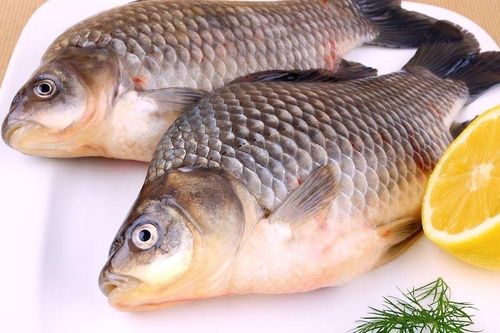 Hai loại cá vừa ngon vừa rẻ, nên có trong bữa ăn