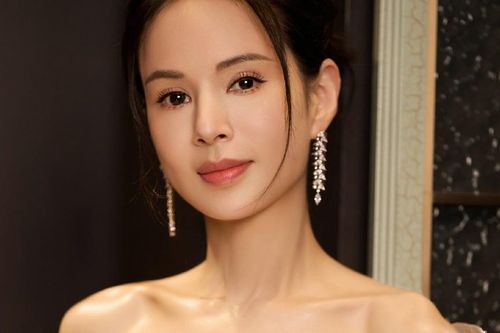 Sự thật khó tin vụ 'Tiểu Long Nữ' Lý Nhược Đồng bị hải quan chặn lại