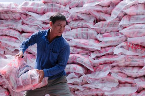 Hỗ trợ doanh nghiệp mở rộng thị trường, thúc đẩy xuất khẩu tại chỗ
