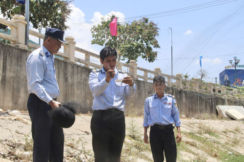 Thư về tòa soạn: Ngăn chặn nạn bẫy chim yến trái phép
