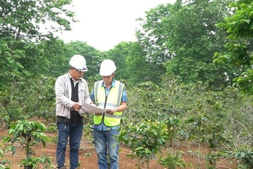 Chính phủ bổ sung quy định về bồi thường cây trồng, vật nuôi khi Nhà nước thu hồi đất