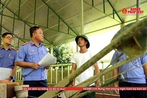 Thấu tình đạt lý
