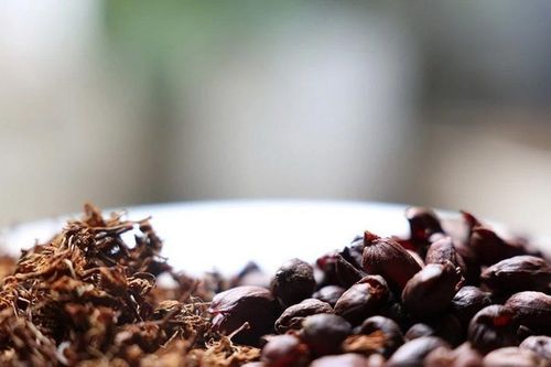 Thị trường nông sản: Đón đầu 'cơn sóng' tăng trưởng mới cho càphê tại Ấn Độ