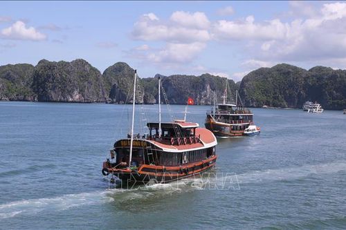 Điểm nhấn thu hút du khách đến Cát Bà