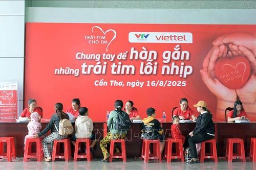 Hỗ trợ khám sàng lọc bệnh tim bẩm sinh cho trẻ em ở Cần Thơ