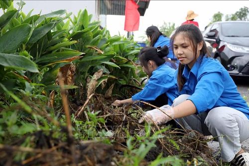 Trên 30.000 người chung tay xây dựng cảnh quan và bảo vệ môi trường
