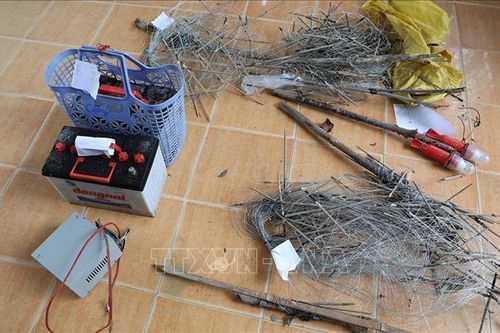 Tạm giữ hình sự hai đối tượng dùng điện bẫy chuột dẫn đến chết người