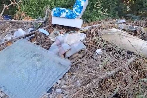 Đang giăng lưới đánh cá, ngư dân phát hiện bí mật đáng sợ ở bãi rác