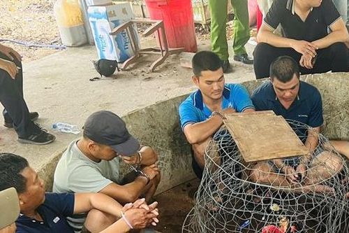 Quảng Ngãi: Triệt xóa điểm đá gà có 22 đối tượng đang sát phạt