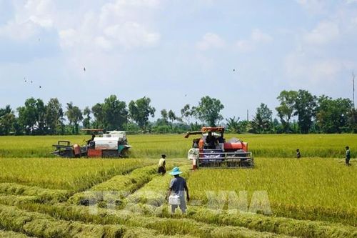 Ấn tượng Việt Nam: Hành trình đến cường quốc nông sản