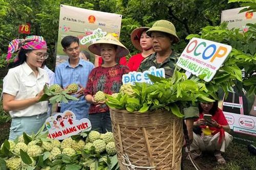 Thái Nguyên: Chốt gần 1.500 đơn trong phiên bán nông sản trực tuyến