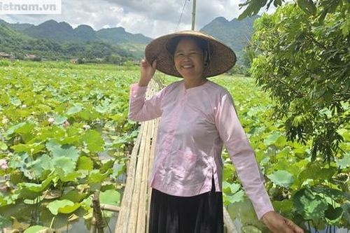 Ý tưởng làm du lịch từ đầm sen quê của người phụ nữ dân tộc Tày