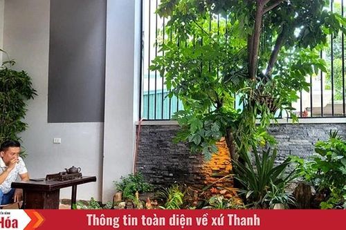 Không gian xanh trong nhà phố